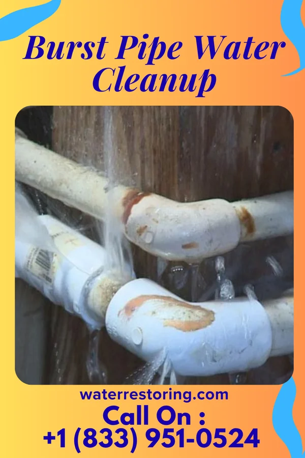 Burst Pipe Water Cleanup in Camp Point, IL