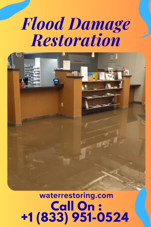 Flood Damage Restoration in Camp Point, IL