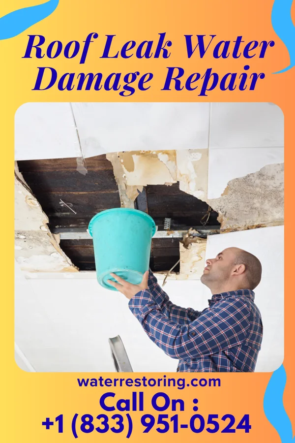 Roof Leak Water Damage Repair in Camp Point, IL