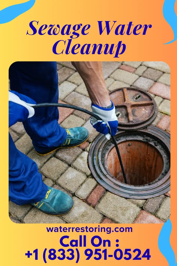 Sewage Water Cleanup in Camp Point, IL